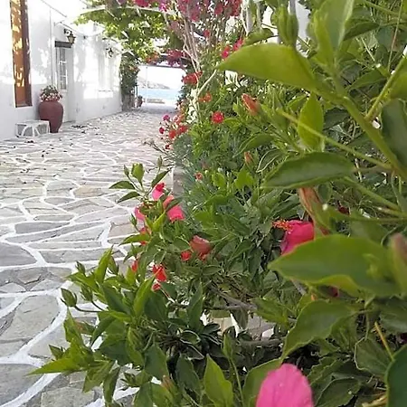 Hotel Mare Monte 2*
