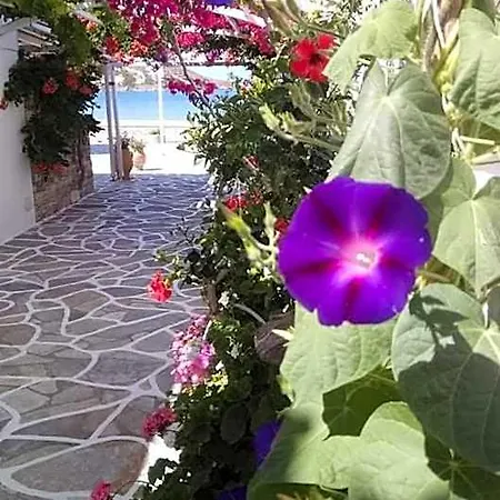 Mare Monte 2* Chora (Ios)